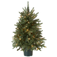 3 ft. Pre-Lit Everyday Collection Tree with Clear Lights - National Tree Company