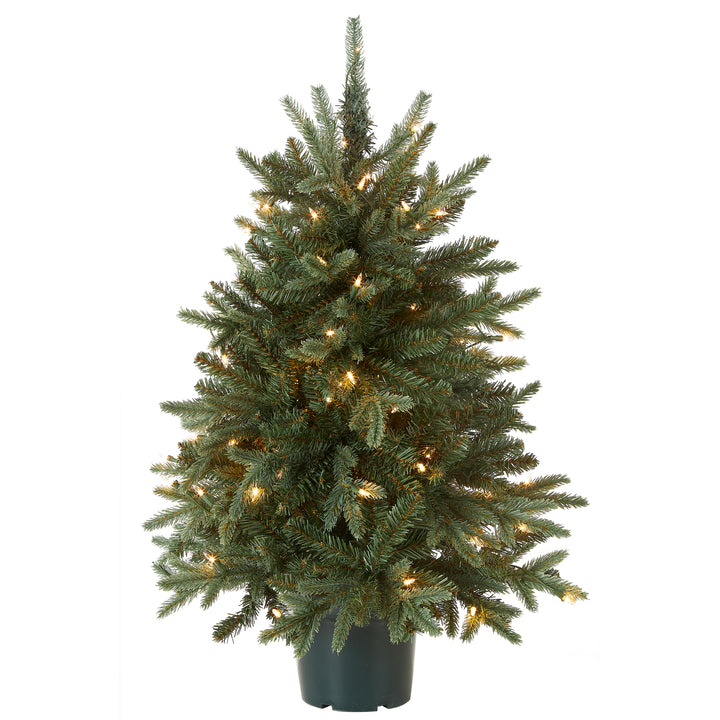 3 ft. Everyday Collection Evergreen Tree with Clear Lights
