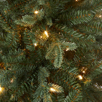 3 ft. Pre-Lit Everyday Collection Tree with Clear Lights - National Tree Company