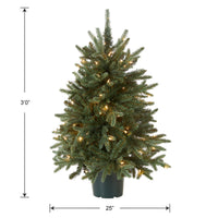 3 ft. Pre-Lit Everyday Collection Tree with Clear Lights - National Tree Company