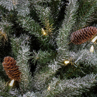 7 ft. Pre-Lit Snowy Olallie Pine Tree with LED Lights - National Tree Company