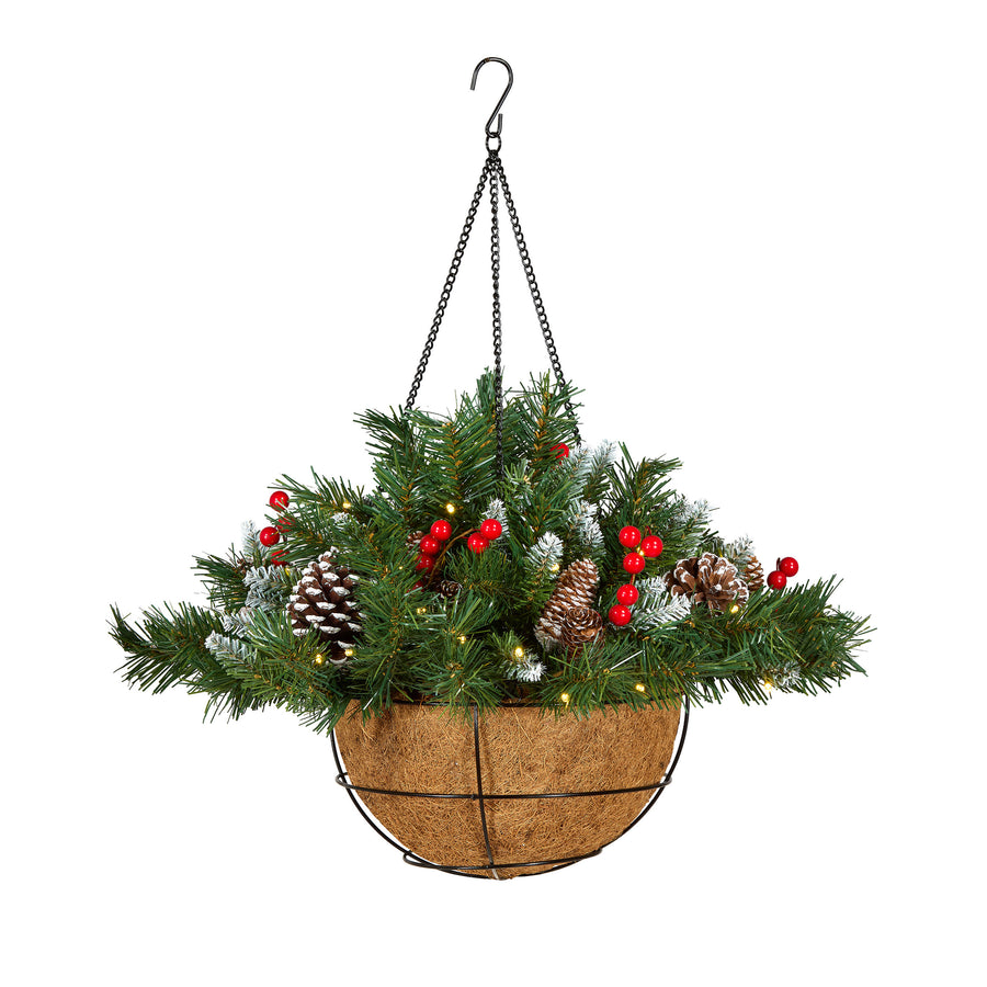 20 in. Pre-Lit  Frosted Berry Hanging Basket with Warm White LED Lights - National Tree Company
