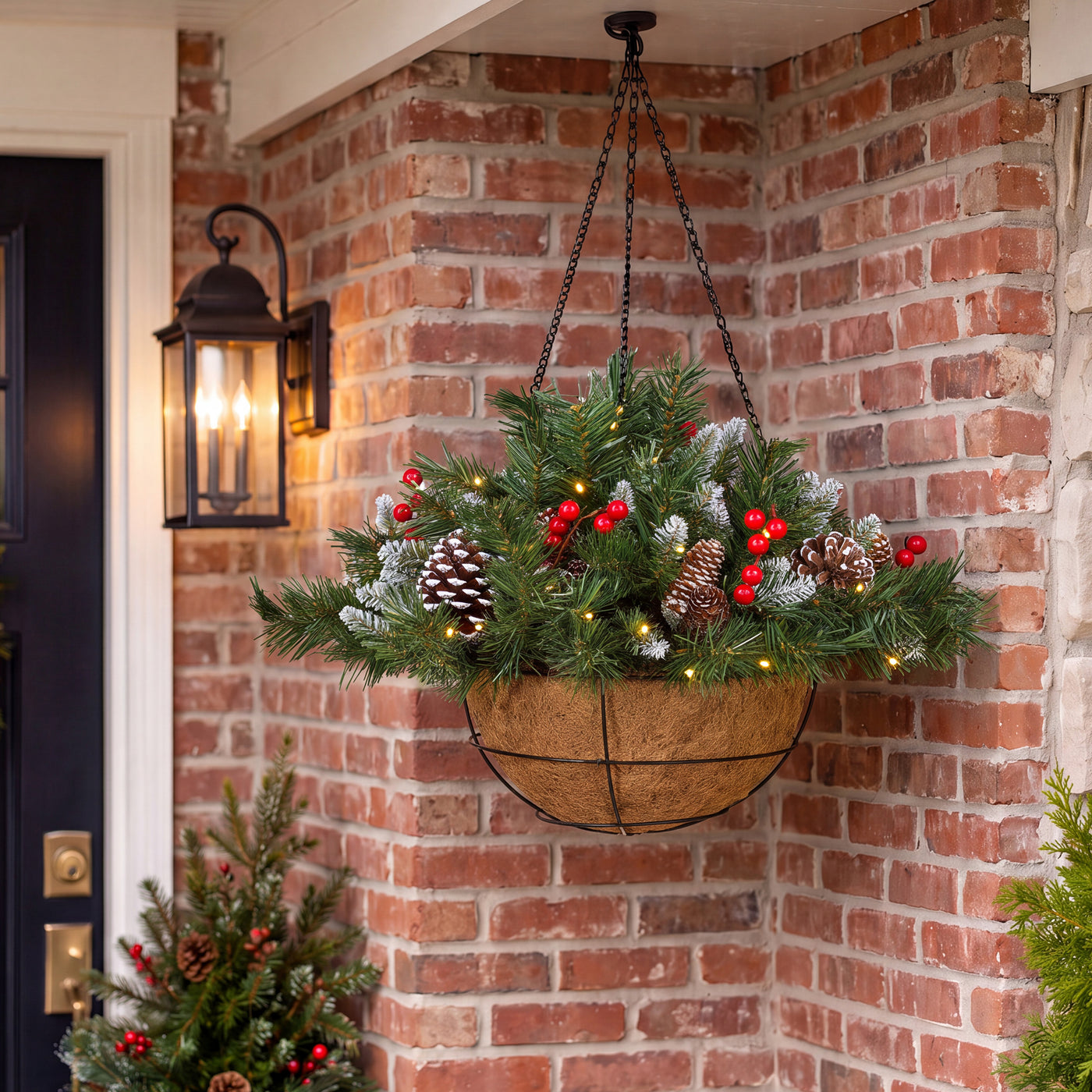 20 in. Pre-Lit  Frosted Berry Hanging Basket with Warm White LED Lights - National Tree Company