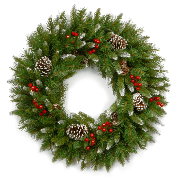 24in. Frosted Berry Wreath