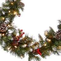 9 ft. Pre-Lit Frosted Berry Garland with Clear Lights - National Tree Company