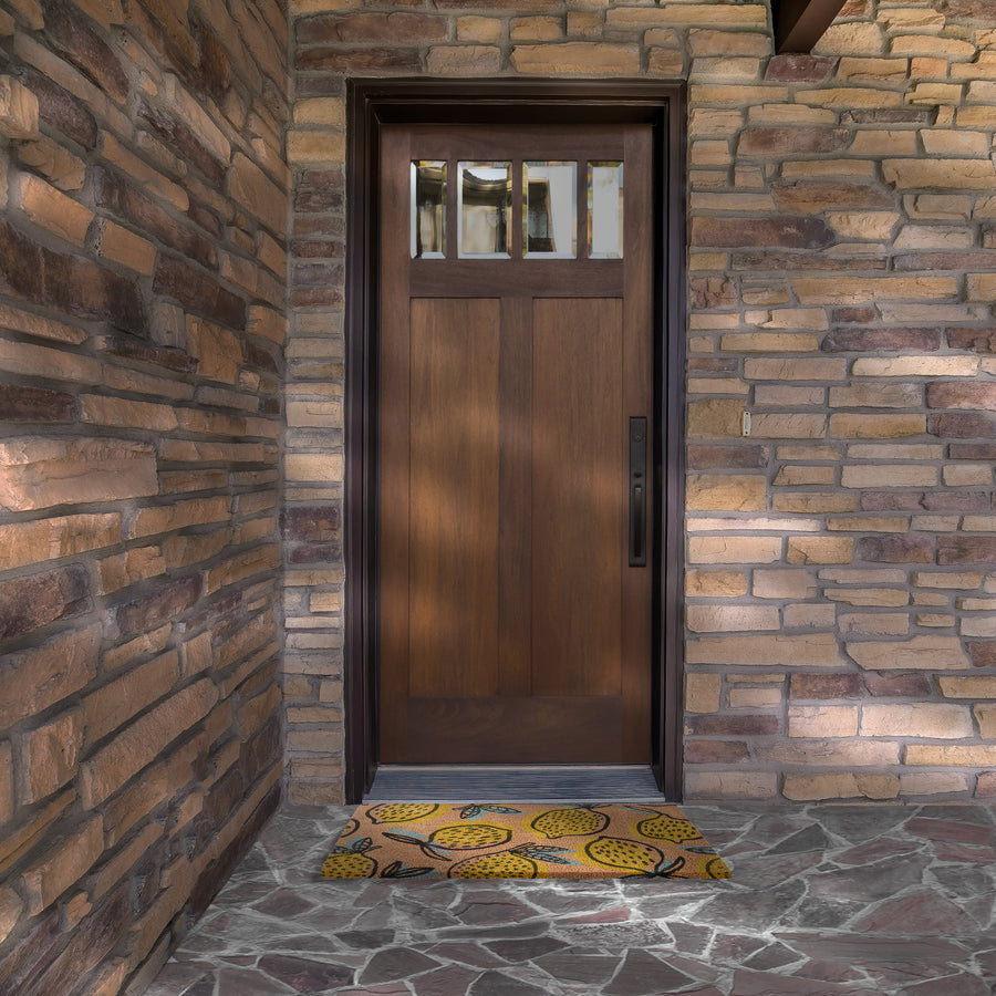 Welcome Entrance Mat, Brown, Lemon Theme, Spring Collection, 30 Inches