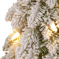 2 ft. Pre-Lit Snowy Downswept Forest Tree with Clear Lights - National Tree Company