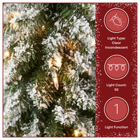 3 ft. Pre-Lit Snowy Downswept Forest Tree with Clear Lights - National Tree Company