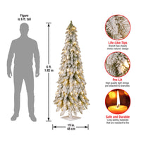 5 ft. Pre-Lit Snowy Downswept Forest Slim Tree with Clear Lights - National Tree Company