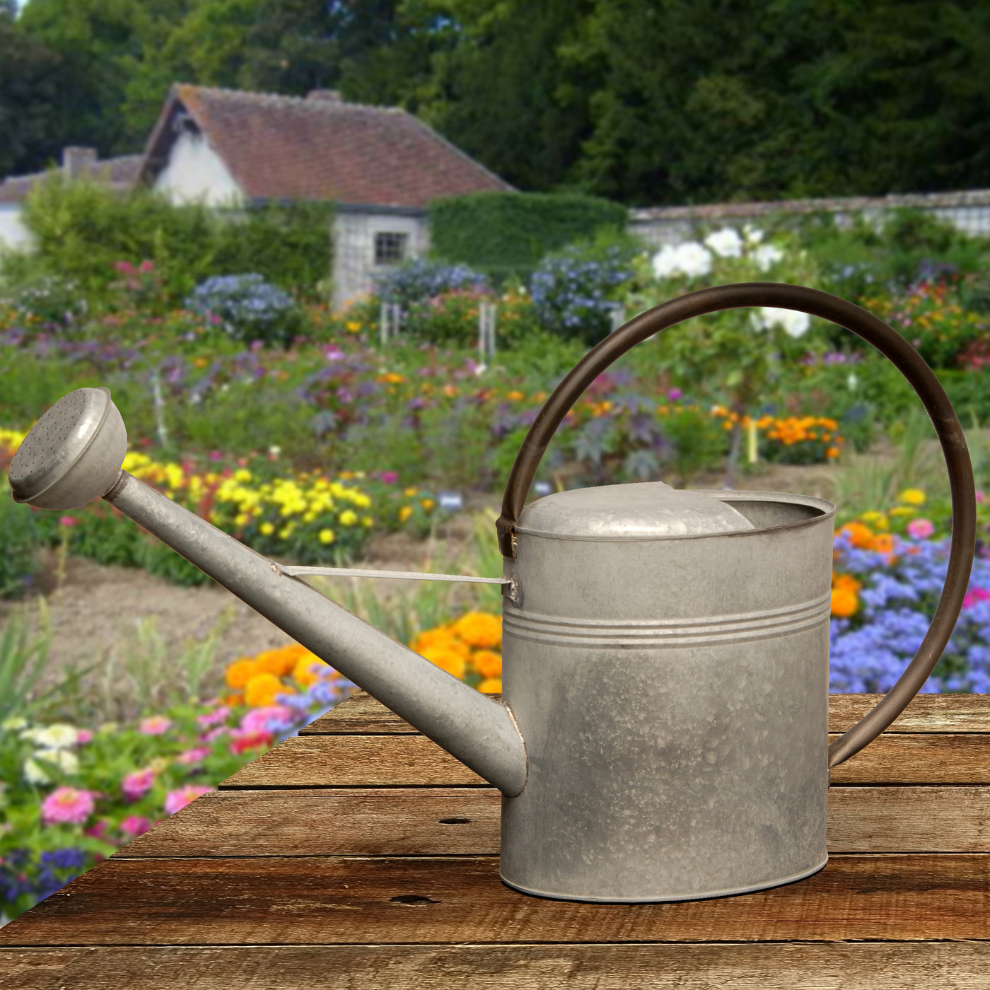 Watering Can, Metal, Zinc, Spring Collection, 18 Inches - National Tree Company