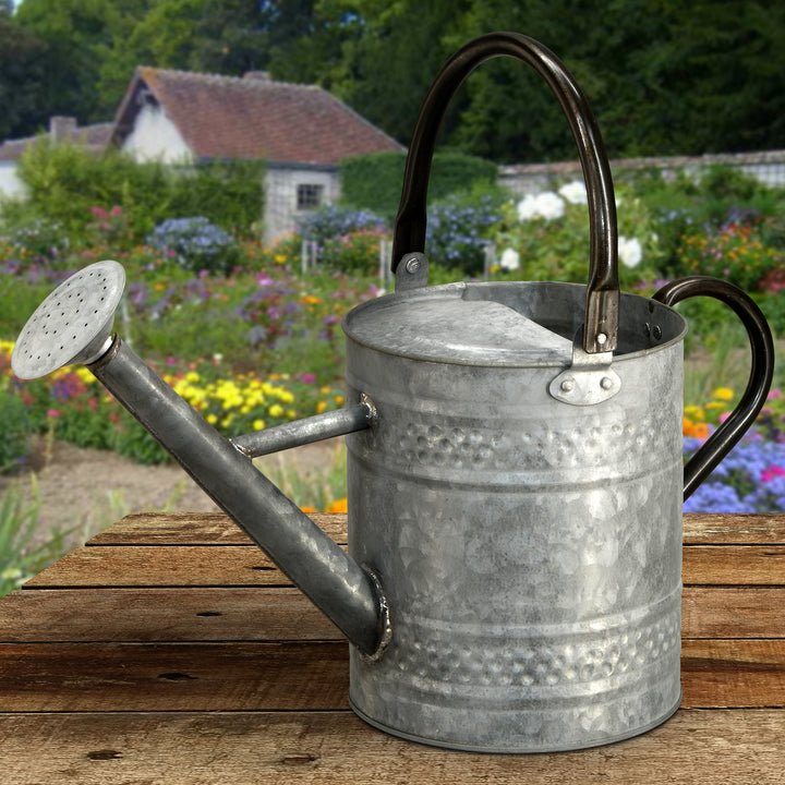 Watering Can, Metal, Steel Color, Spring Collection, 16 Inches