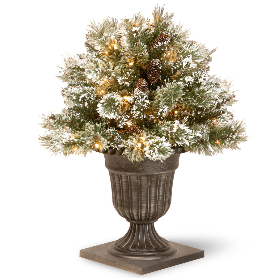 24 in. Pre-Lit Glittery Bristle Pine Porch Bush with Clear Lights - National Tree Company