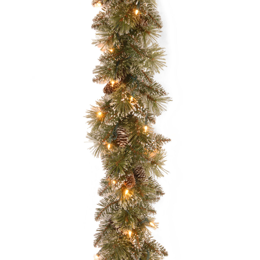 9 ft. Glittery Bristle Pine Garland with Clear Lights - National Tree Company