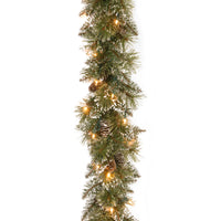 6 ft. Pre-Lit Glittery Bristle Pine Garland with LED Lights - National Tree Company