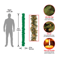 6 ft. Pre-Lit Glittery Bristle Pine Garland with LED Lights - National Tree Company