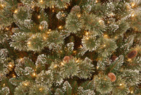 6.5 ft. Pre-Lit Glittery Bristle Slim Tree with Clear Lights, Plug-In - National Tree Company