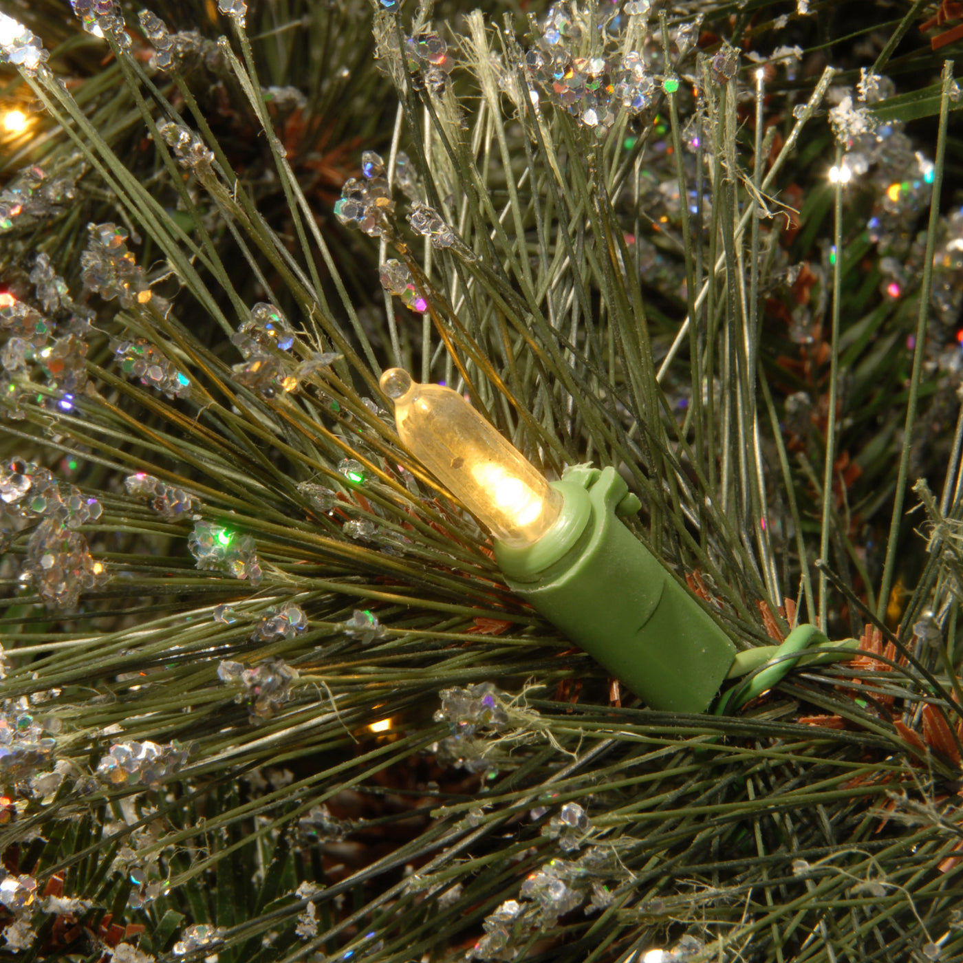 4 ft. Pre-Lit Glittery Bristle Tree with Clear Lights - National Tree Company