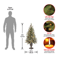 4 ft. Pre-Lit Glittery Bristle Tree with Clear Lights - National Tree Company
