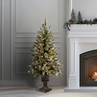 4 ft. Pre-Lit Glittery Bristle Tree with Clear Lights - National Tree Company
