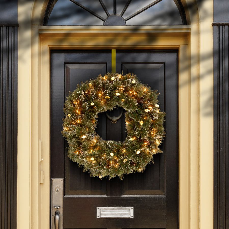 24 in. Pre-Lit Glittery Bristle Pine Wreath with Warm White LED Lights