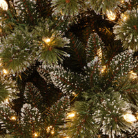 24 in. Pre-Lit Glittery Bristle Pine Wreath with Warm White LED Lights, Plug-In - National Tree Company