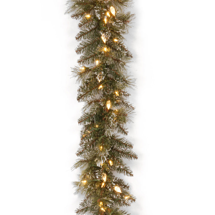 Pre-Lit 'Feel Real' Artificial Christmas Garland, Green, Glittery Bristle Pine, White Lights, Decorated With Frosted Branches, Plug In, Christmas Collection, 9 Feet
