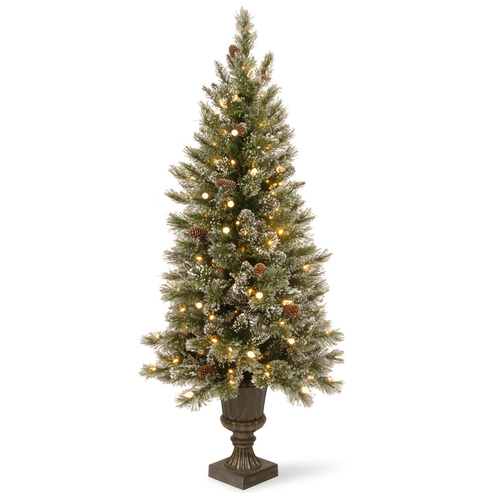 Pre-Lit Artificial Entrance Christmas Tree, Green, Glittery Bristle Pine, White Lights, Flocked with Pine Cones, Frosted Branches, Includes Stand, 5 Feet