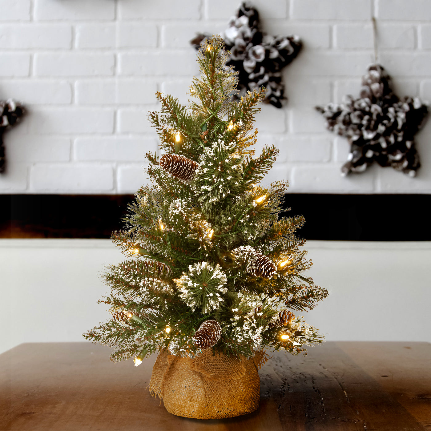 2 ft. Pre-Lit Glittery Bristle Tree with LED Lights - National Tree Company