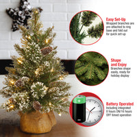 2 ft. Pre-Lit Glittery Bristle Tree with LED Lights - National Tree Company