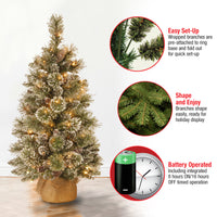 3 ft. Pre-Lit Glittery Bristle Tree with LED Lights - National Tree Company