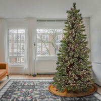 7.5 ft. Pre-Lit Glittery Bristle Pine Medium Tree with PowerConnect Warm White LED Lights - National Tree Company