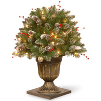 24 in. Pre-Lit Glittery Mountain Spruce Porch Bush with Clear Lights - National Tree Company