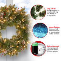 24 in. Pre-Lit Glittery Mountain Spruce with LED Lights - National Tree Company