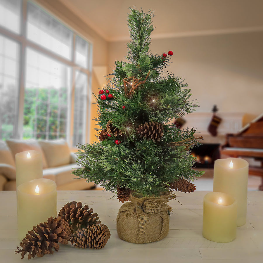 24 in. Pre-Lit Glistening Pine Tree with Warm White LED Lights