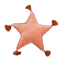 16 in. HGTV Home Collection Star Shape Pillow, Blush - National Tree Company