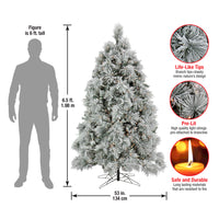 6.5 ft. Pre-Lit Flocked Bavarian Pine Tree - National Tree Company