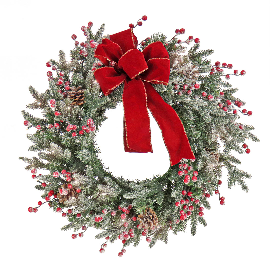 22" HGTV Home Collection Pre-Lit Frosted Traditions Wreath