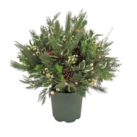 9 ft. Pre-Lit HGTV Home Collection Holly and Berry Planter Filler - National Tree Company