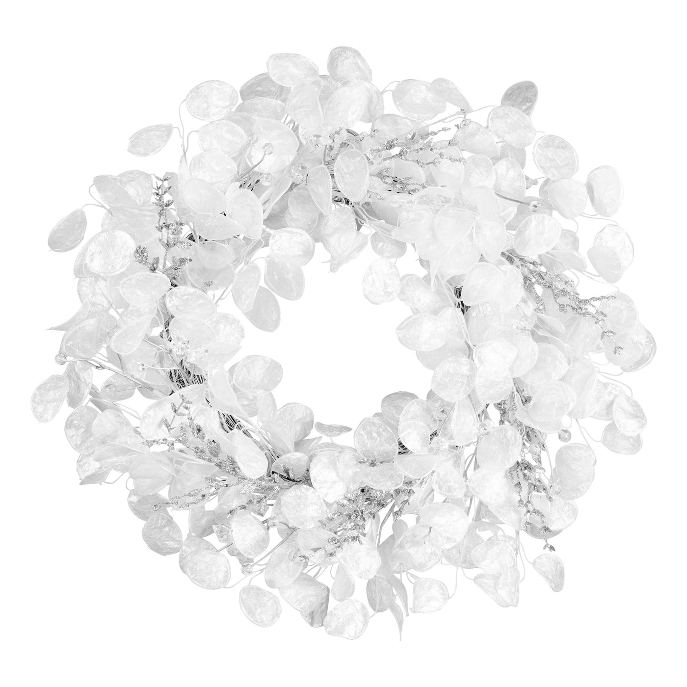 24 in. Winter Frost White Wreath - National Tree Company