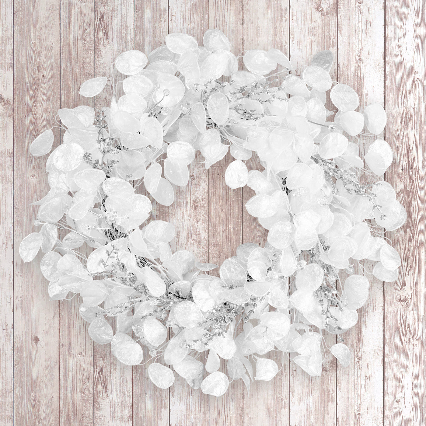 24 in. Winter Frost White Wreath - National Tree Company