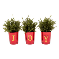 8in. Christmas Joy Tabletop Card Holder Votive 3 Piece - National Tree Company