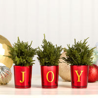 8 in. Christmas Joy Tabletop Card Holder Votive 3 Piece - National Tree Company