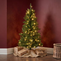 4 ft. Pre-Lit Havenwood Fir Slim Tree with Warm White LED Lights - National Tree Company