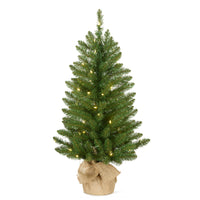 3 ft. Pre-Lit Havenwood Fir Slim Tree with Warm White LED Lights - National Tree Company