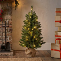 3 ft. Pre-Lit Havenwood Fir Slim Tree with Warm White LED Lights - National Tree Company