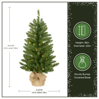 3 ft. Pre-Lit Havenwood Fir Slim Tree with Warm White LED Lights - National Tree Company