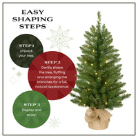 3 ft. Pre-Lit Havenwood Fir Slim Tree with Warm White LED Lights - National Tree Company