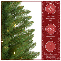 3 ft. Pre-Lit Havenwood Fir Slim Tree with Warm White LED Lights - National Tree Company