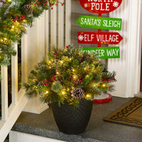 22 in. Iced Berry Pine Urn Filler with LED Lights - National Tree Company