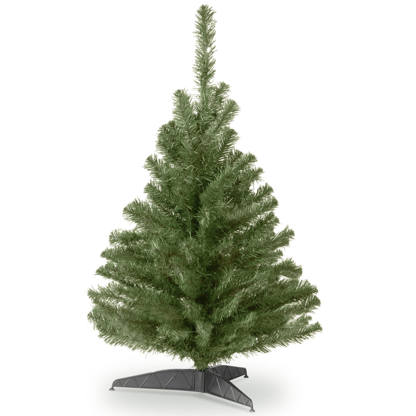 3 ft. Kincaid Spruce Tree - National Tree Company